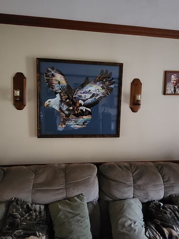 Framed bald eagle artwork displayed on living room wall