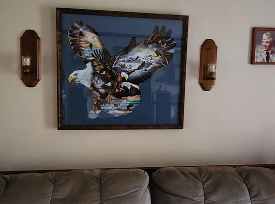 Framed bald eagle artwork
